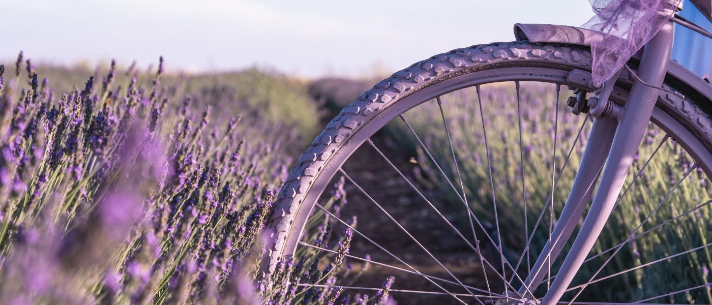 bike tours Provence